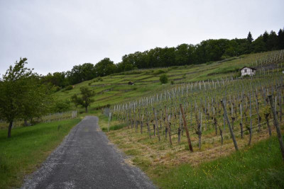 Geigersberg 21 008.JPG