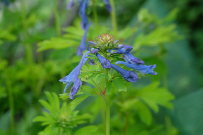DSCF4565_5545.JPG