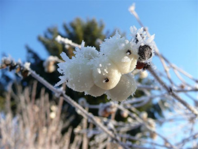 26.12.2007.50.JPG