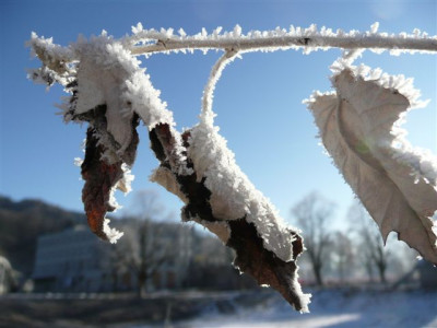 26.12.2007.51.JPG