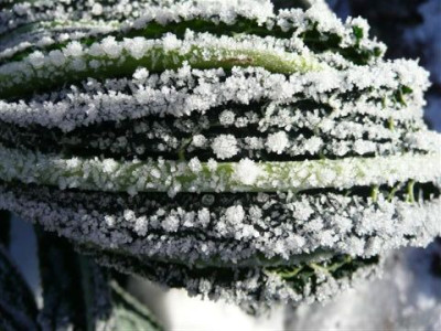 26.12.2007.52.JPG