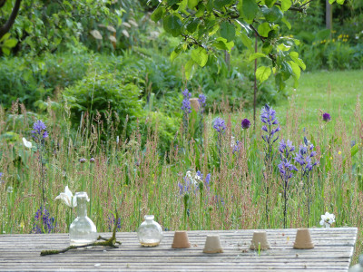 2021-05-28 Gartenimpressionen 2.jpg