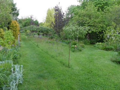 2021-05-28 Garteneinblick 2.jpg