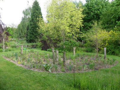 2021-05-28 Garteneinblick 6.jpg