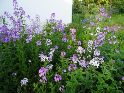 DSC04840.JPG