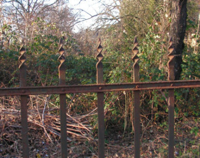 Zaune_x_002.jpg