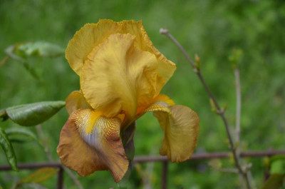 D6544.JPG