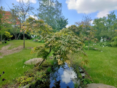 IMG20210529140634.jpg
