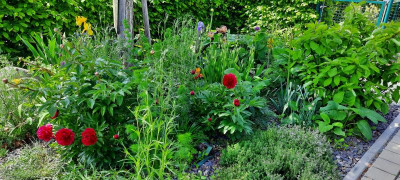 20210529_140633.jpg