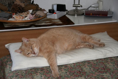 April0721.JPG