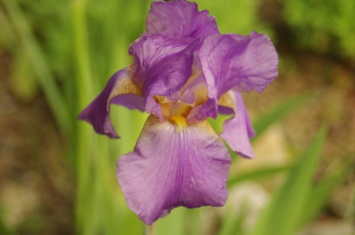 K5118664.jpg