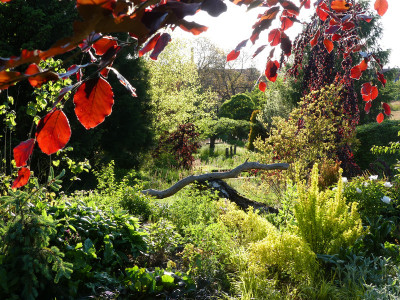 2021-05-30 Gartenimpressionen 2.jpg
