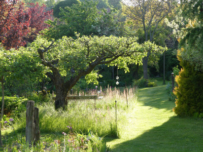 2021-05-30 Gartenimpressionen 3.jpg