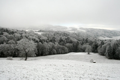 Graue-Winterlandschaft-3.jpg