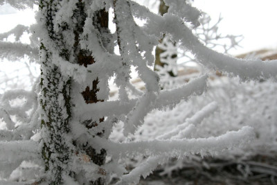 Graue-Winterlandschaft-7.jpg