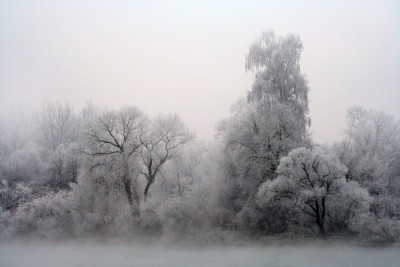 Donauraureif-25.jpg