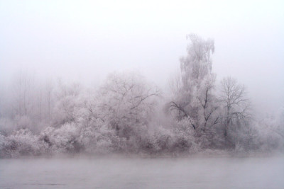 Donauraureif-29.jpg