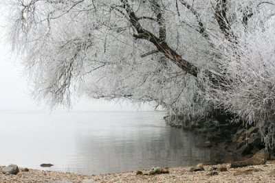 Donauraureif-32.jpg