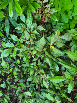 20210531_181813.jpg