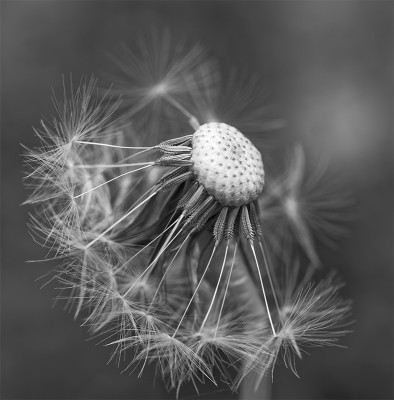 20210601_1.jpg