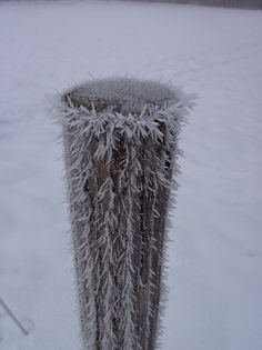 BILD0541.JPG