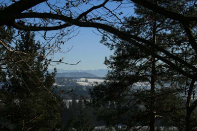C0980_Blick_auf_Berge_durch_Baume.jpg