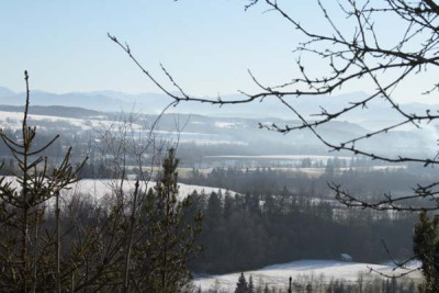 C0976_Landschaft_mit_Allgauern.jpg