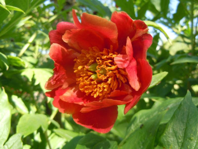 DSCN0903.JPG