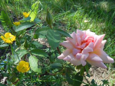 DSCN0913.JPG