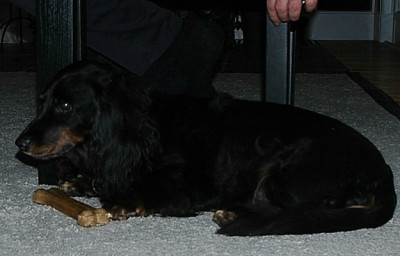 Gero_1_26-12-2007.jpg