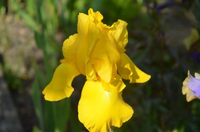 D7010.JPG