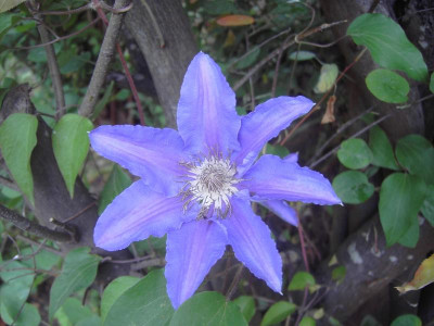 PICT3374.JPG