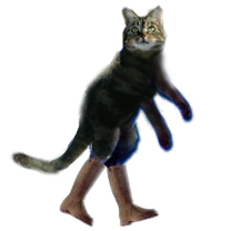 gestiefelter_kater2.jpg