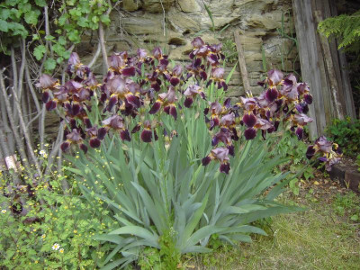PICT3359.JPG