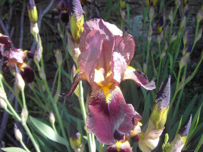 PICT3329.JPG