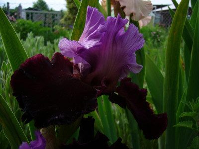 P1050576.JPG
