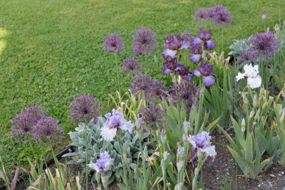 Iris Gruppenbild.jpg
