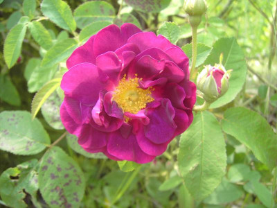 PICT3379.JPG