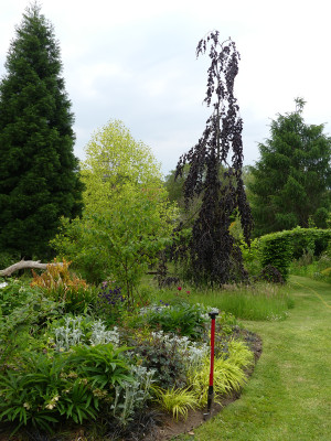 2021-06-05 Birkenhain 3.jpg