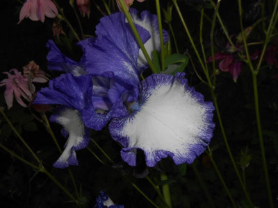 DSCN1804.JPG