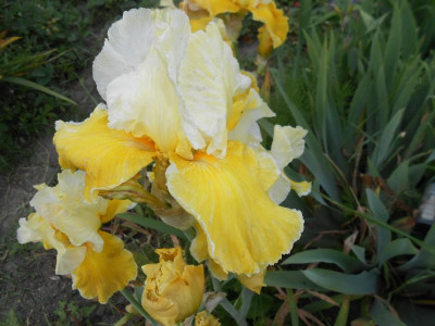 DSCN1807.JPG