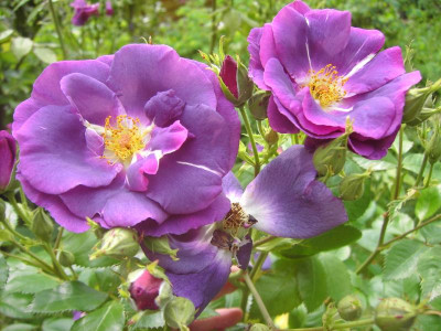 PICT3382.JPG