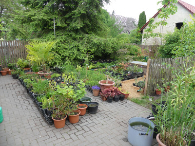 2021-06-06 Garteneinblick 3.jpg