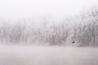 Donau-Raureif-Versuch-2.jpg