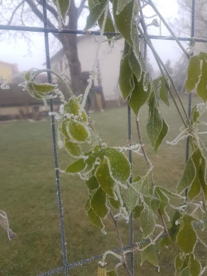 EiaPopeia_Winter.jpg