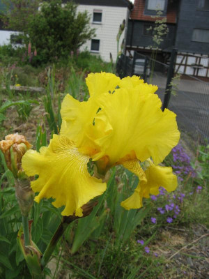 IMG_6860.JPG