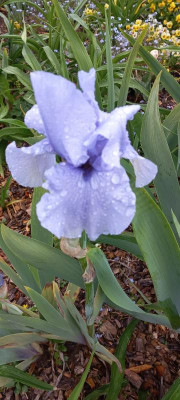 20210606_122552.jpg