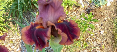 20210608_081707.jpg