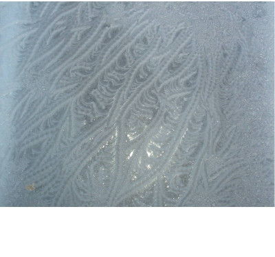 Eisblumen_08.01.08_4.jpg