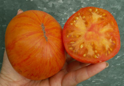 624_vv_Tomate_Beauty_King.jpg